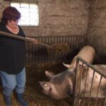Bauer sucht Frau 2013 – Folge 2 – Angie im Schweinestall