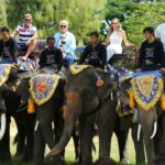 DSDS 2015 – Die Jury und die Elefanten