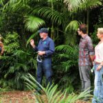 Dschungelcamp 2017 – Sarah Joelle musste in die Dschungelprüfung