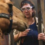 Dschungelcamp 2020 Dschungelprüfung Tag 3 – Danni Büchner bei den Kamelen